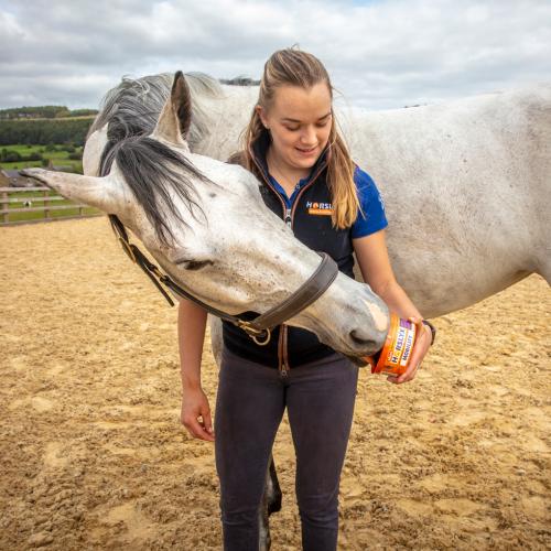 Horslyx Mini Mobilität