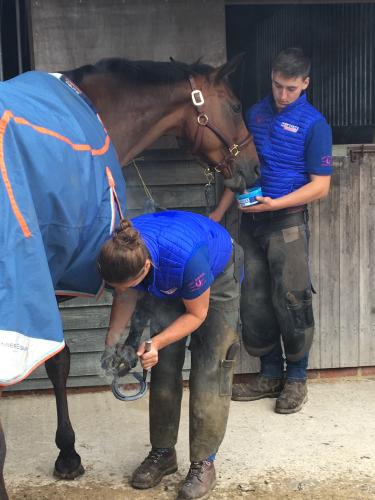 Horslyx Mini Atemwege