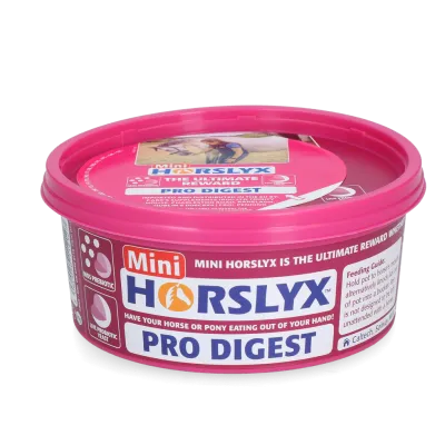 Horslyx Mini Verdauung
