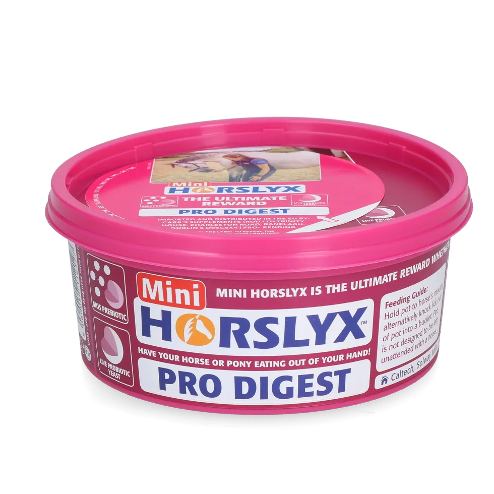 Horslyx Mini Verdauung