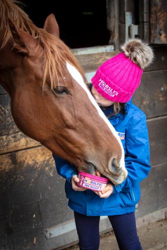 Horslyx Mini Verdauung