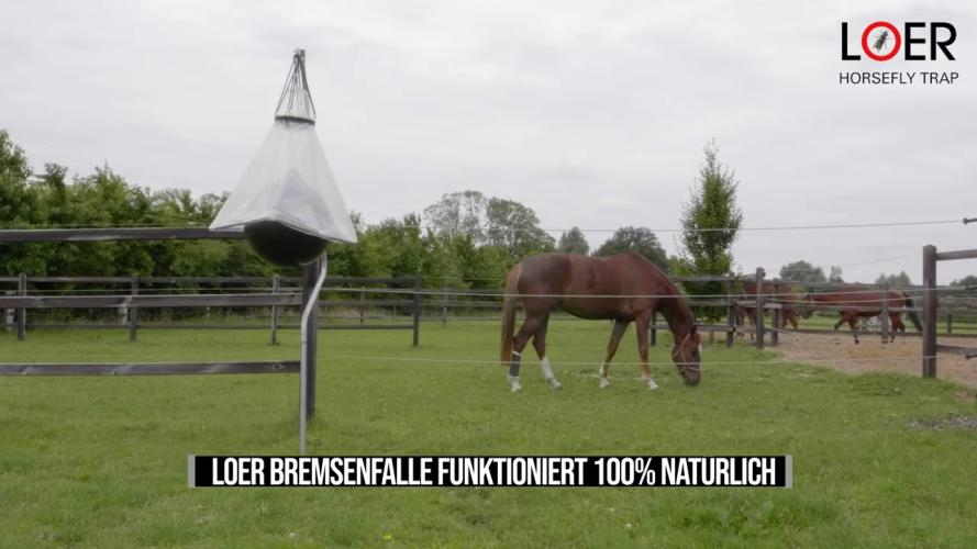 Loer Bremsenfalle Ball