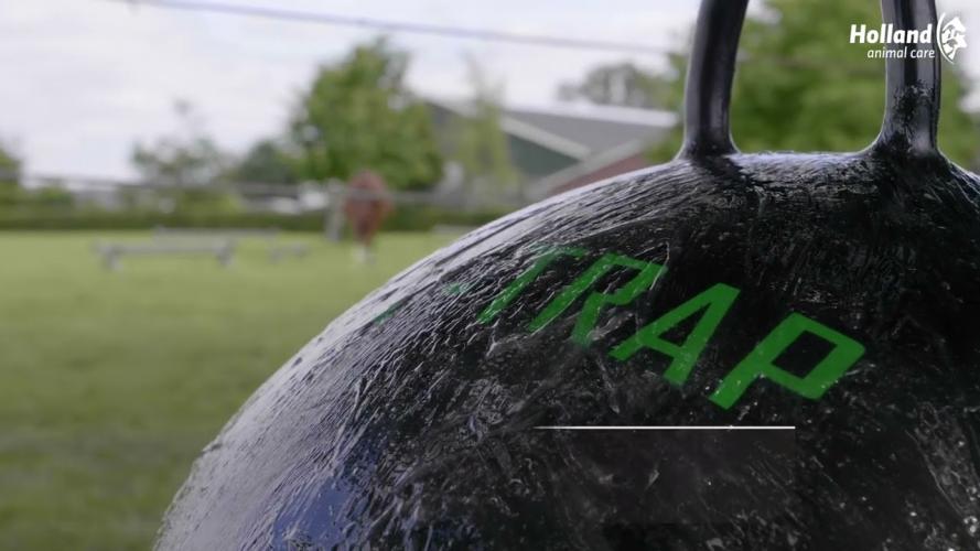 Sticky Trap Ball 60 cm