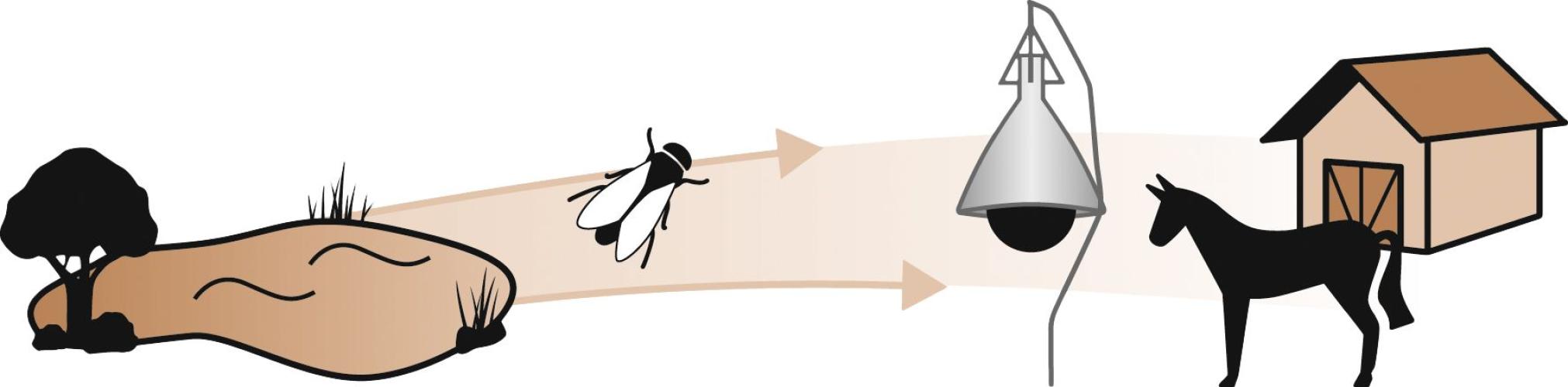 TaonX Bremsenfalle Komplett