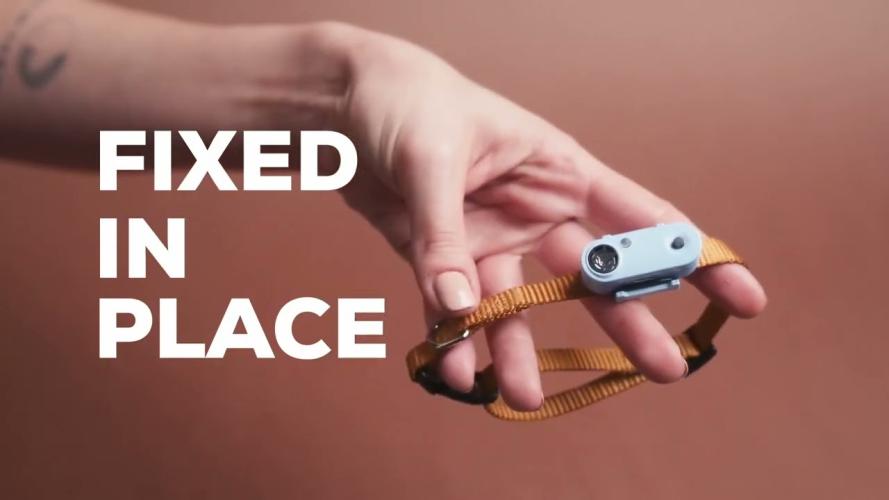 Tickless Horse Mindestschutz von 6 Monaten Braun