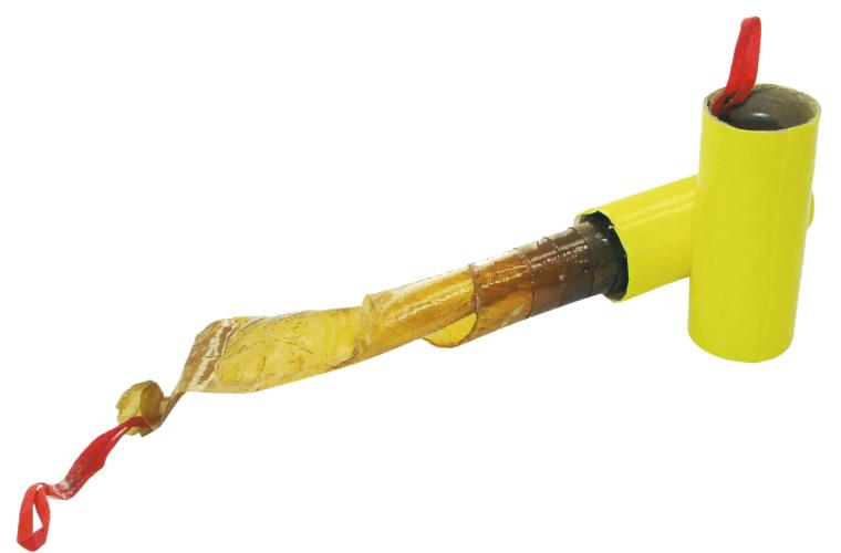 Zapi Fliegenfänger Klassiker