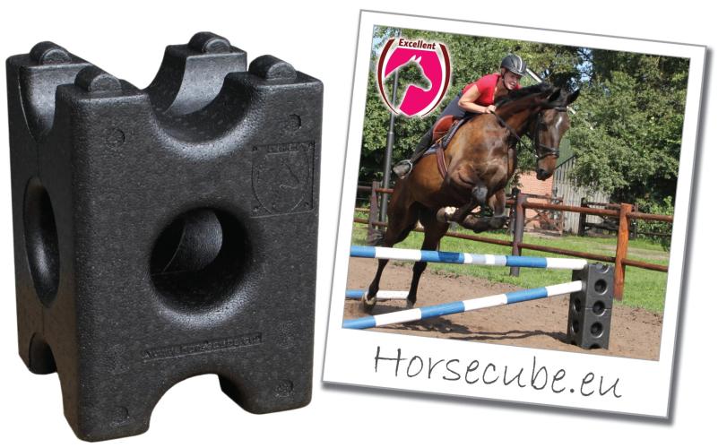 Excellent Horse Cube
