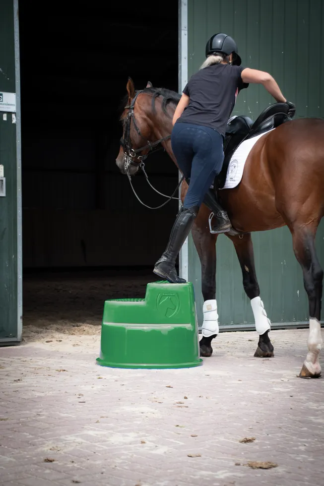 Excellent Horse Aufstiegshilfe 3 Stufen Grün