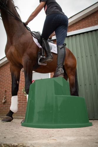 Excellent Horse Aufstiegshilfe 3 Stufen Grün
