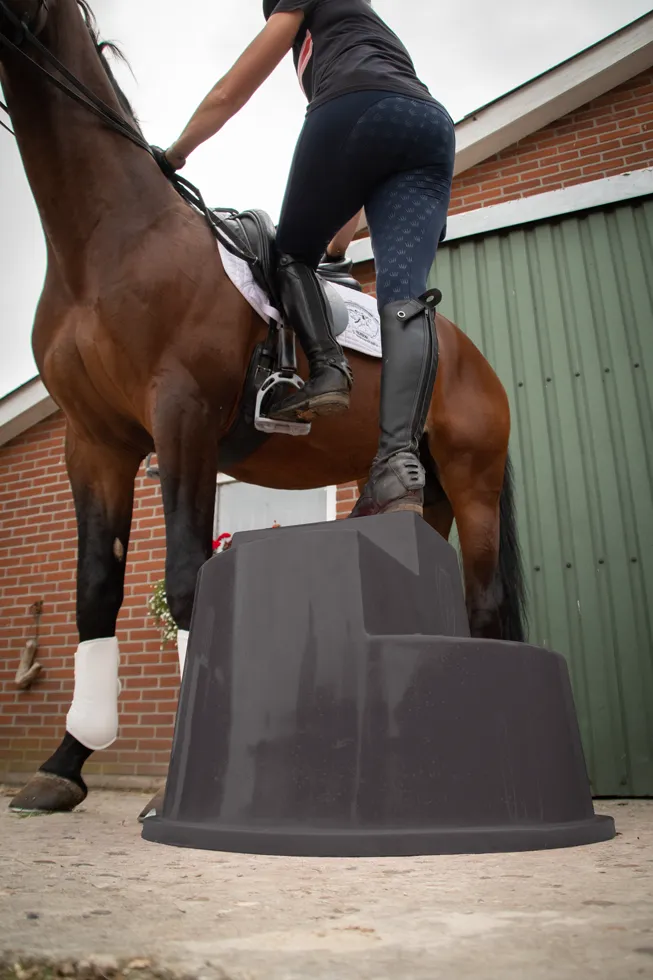 Excellent Horse Aufstiegshilfe 3 Stufen Schwarz