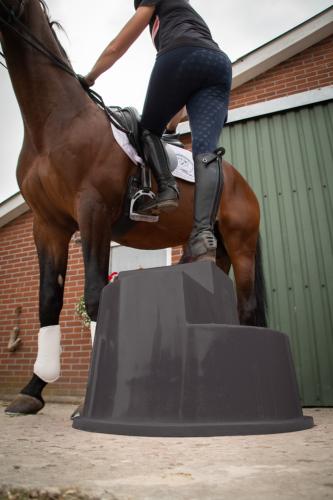 Excellent Horse Aufstiegshilfe 3 Stufen Schwarz
