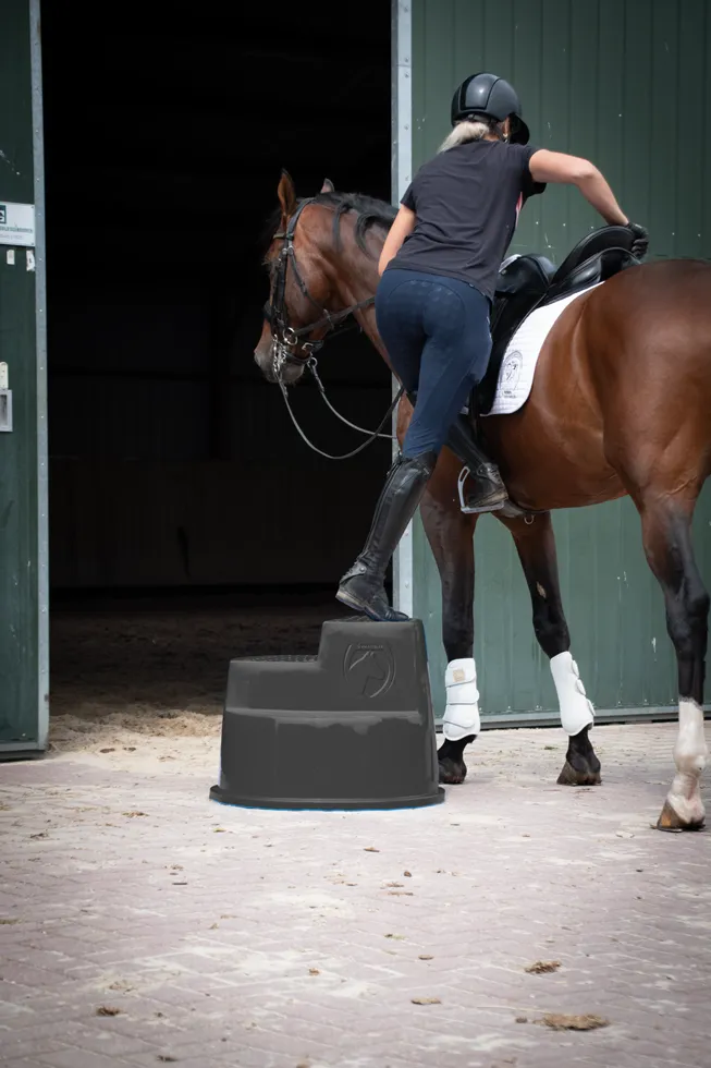 Excellent Horse Aufstiegshilfe 3 Stufen Schwarz