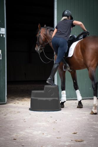 Excellent Horse Aufstiegshilfe 3 Stufen Schwarz