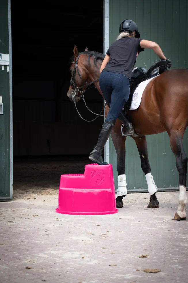 Excellent Horse Aufstiegshilfe 3 Stufen Rosa