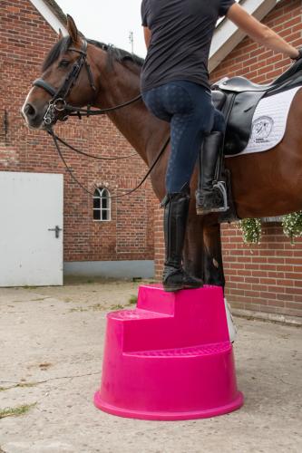 Excellent Horse Aufstiegshilfe 3 Stufen Rosa