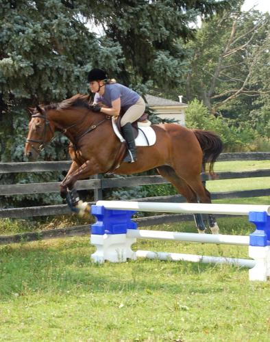 Hindernisblock Kunststoff Rot