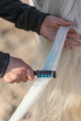 Lucky Horse Unicorn Regenbogenfarbige Kreide