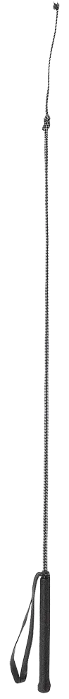 Reitgerte fiber 90cm schwarz