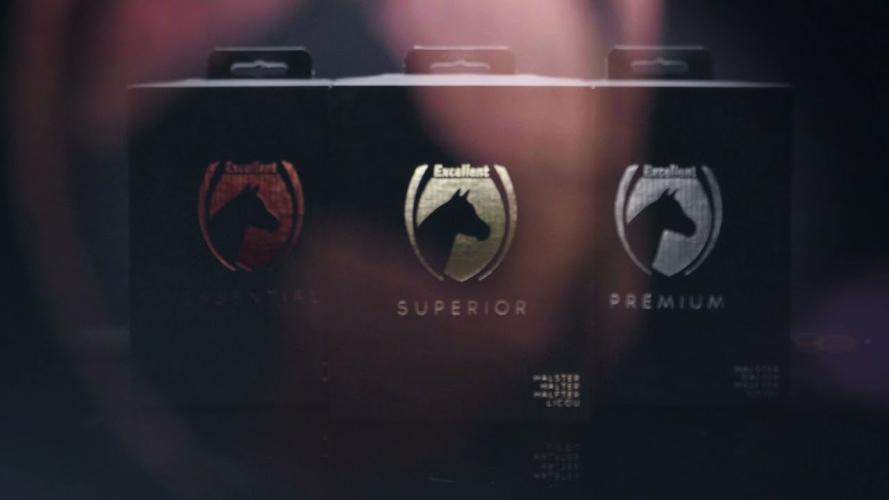 Excellent Essential Halfter Schwarz XS