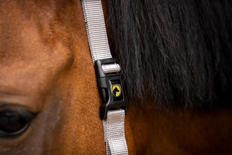 Excellent Essential Halfter Grau XS