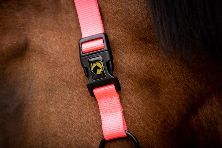 Excellent Premium Halfter Rosa XS