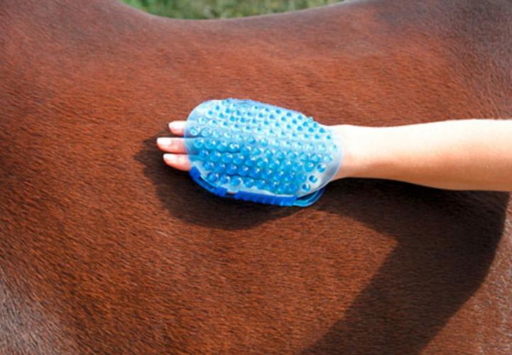 Bürste magnet massage Blau