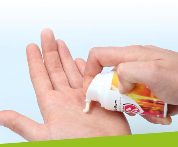 Excellent Skin Derm Propolis & Honig Salbe 50 ml Easydose