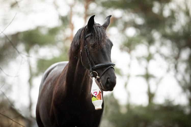 Excellent Horse Deep Ice Cooling Gel 250 ml