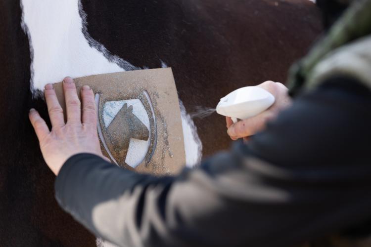 Excellent Horse Hi Gloss Glitter Spray Silver 250 ml