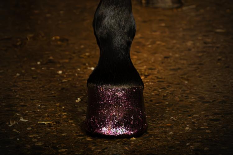 Excellent Horse Hi Gloss Glitter Hoof Polish Pink 150 ml