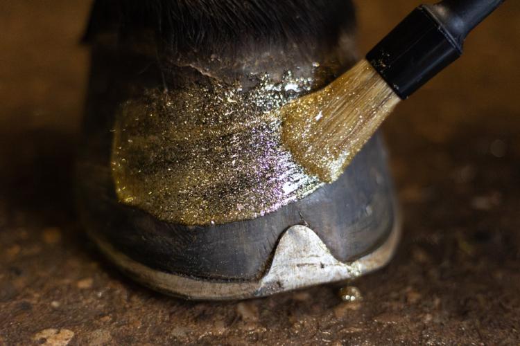 Excellent Horse Hi Gloss Glitter Hoof Polish Gold 150 ml