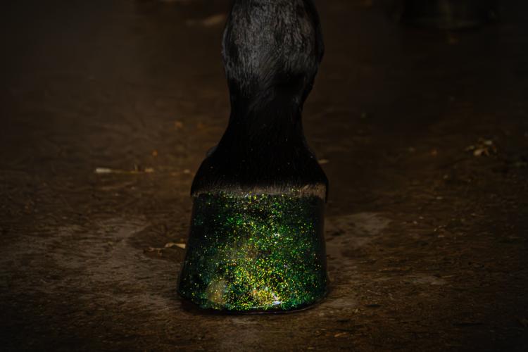 Excellent Horse Hi Gloss Glitter Hoof Polish Green 150 ml