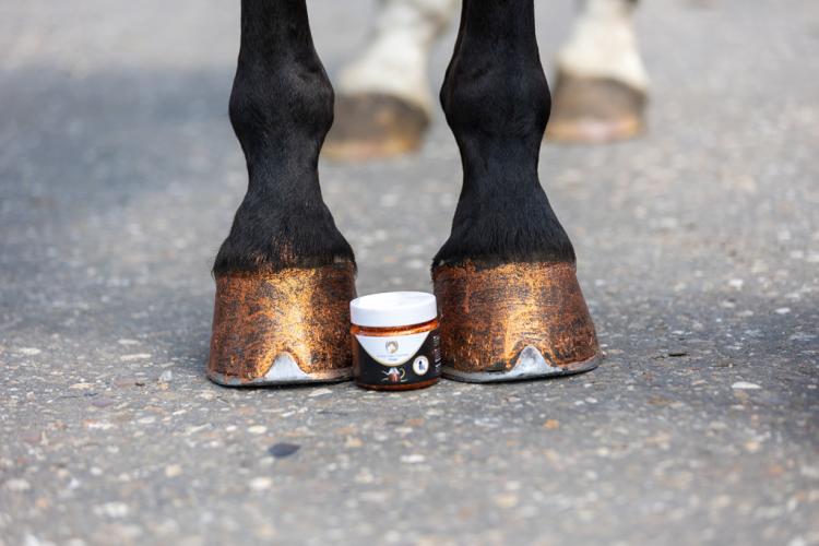 Excellent Horse Hi Gloss Glitter Hoof Polish Orange 150 ml