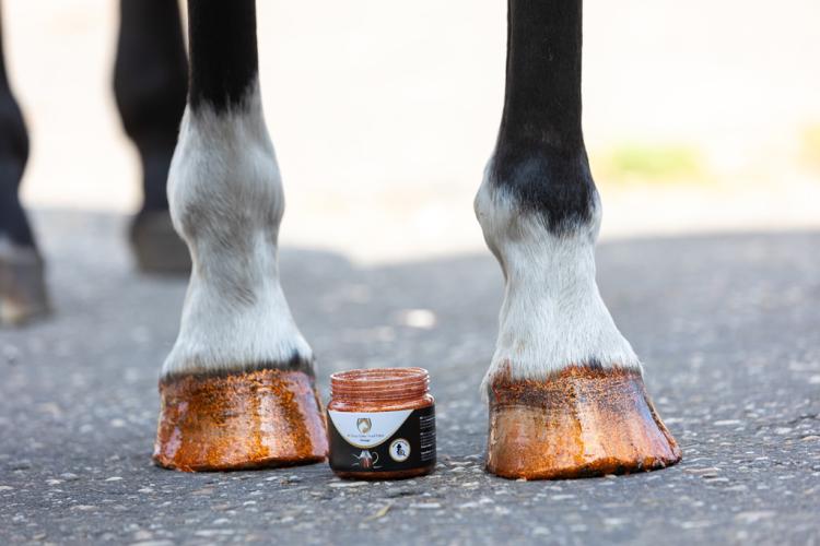 Excellent Horse Hi Gloss Glitter Hoof Polish Orange 150 ml