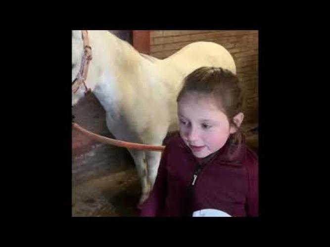 Lucky Horse Unicorn Shine Spray