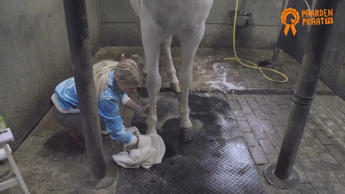 Paardenpraat TV Hoefglansolie
