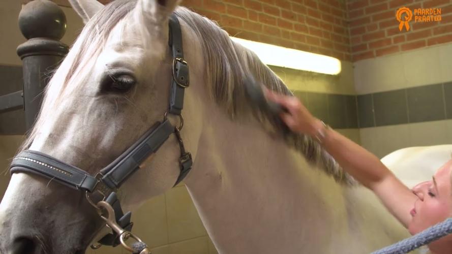 Paardenpraat TV Glans Spray 250 ml