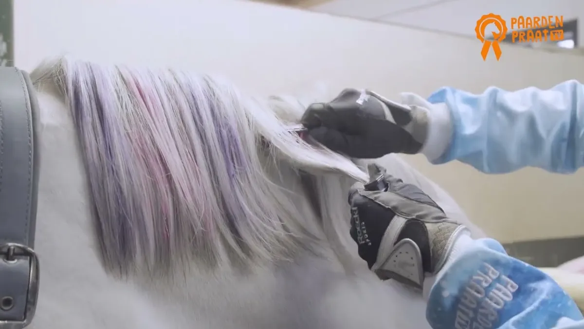 Paardenpraat Regenboog Kleurkrijt