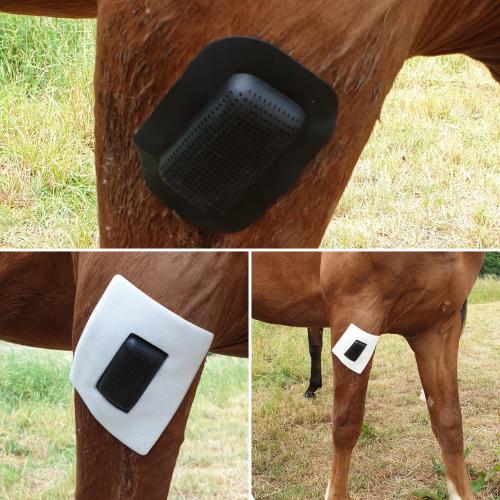 Rheva Kombo Wundschutz