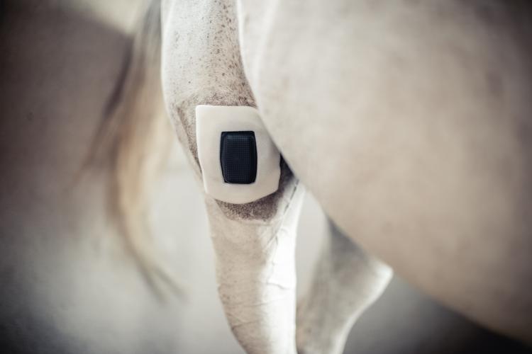 Rheva Kombo Wundschutz