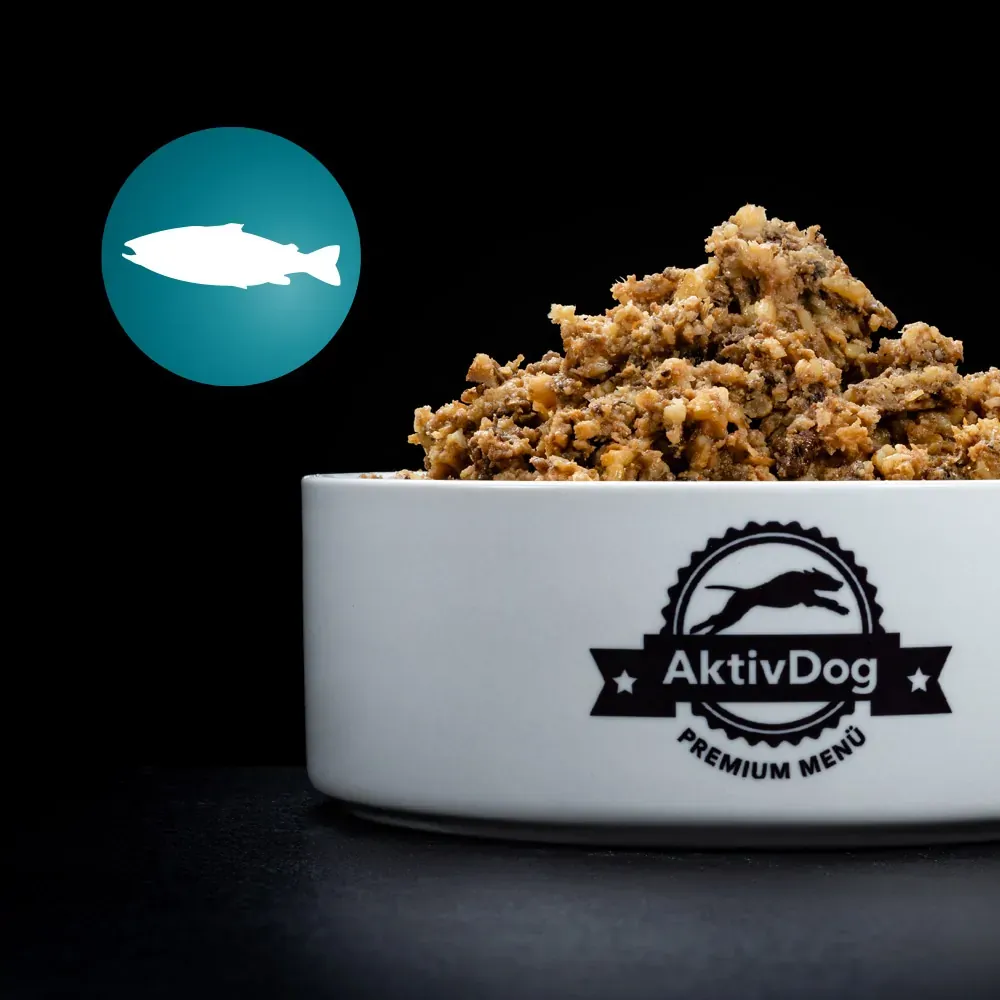 AktivDog Lachs mit Pastinaken 5x500g