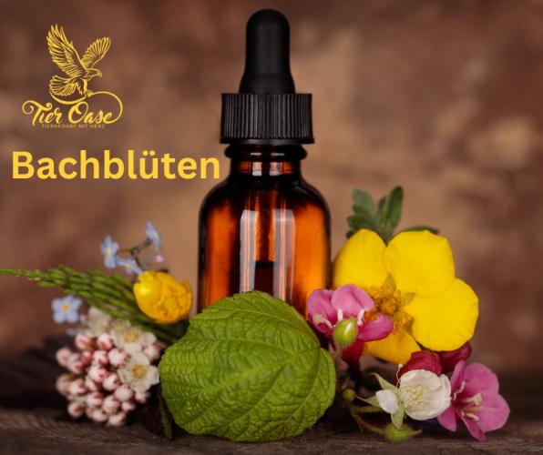 bachbluten-mischung-mut-20ml-78029