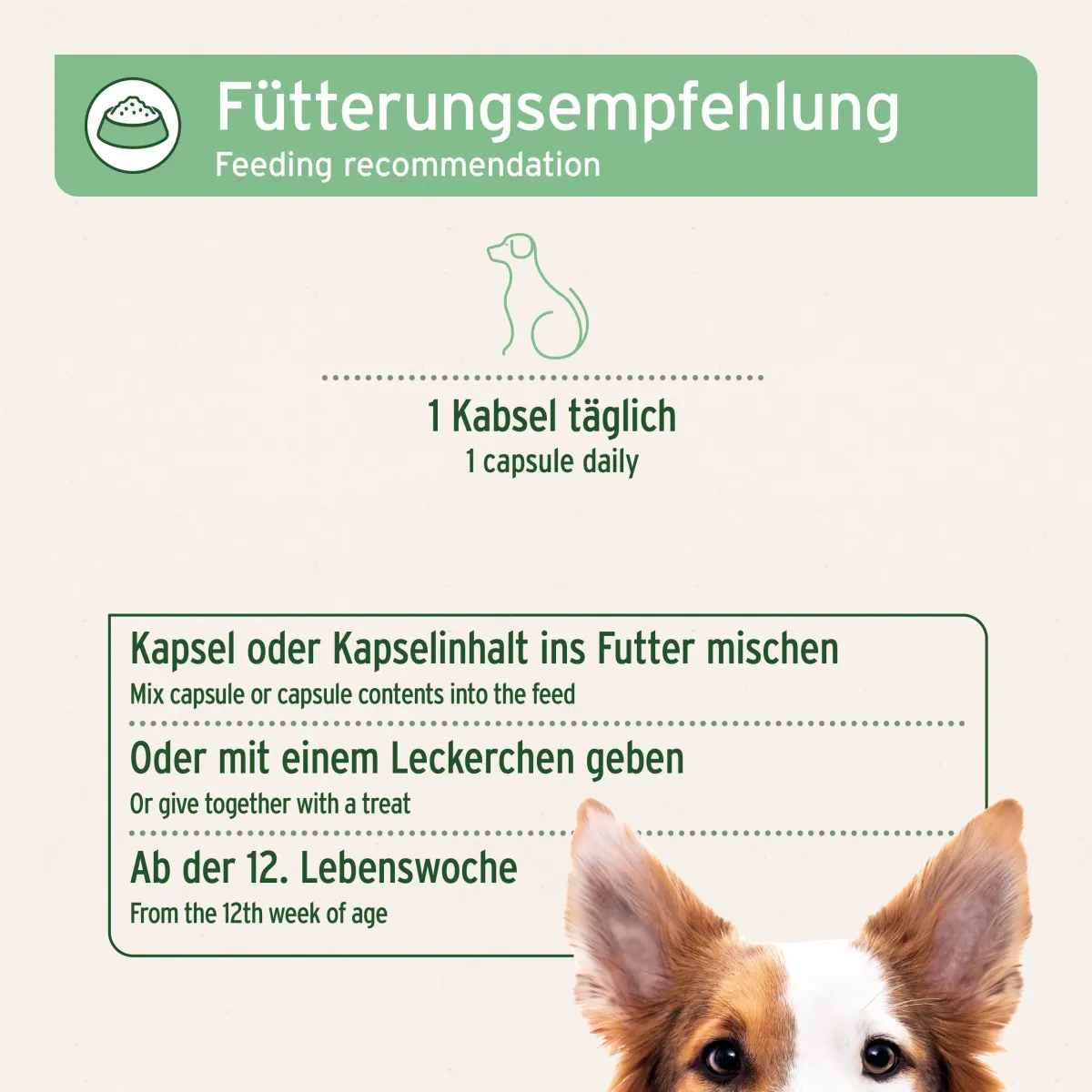 AniForte® Zecken Schild Kapseln für mittel grosse Hunde