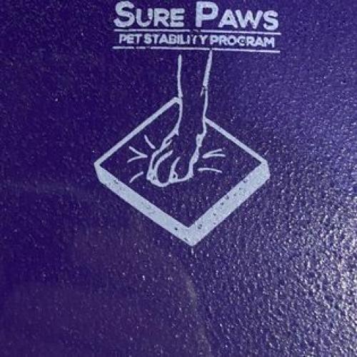 SURE PAWS® Hunde Balance Pads - small