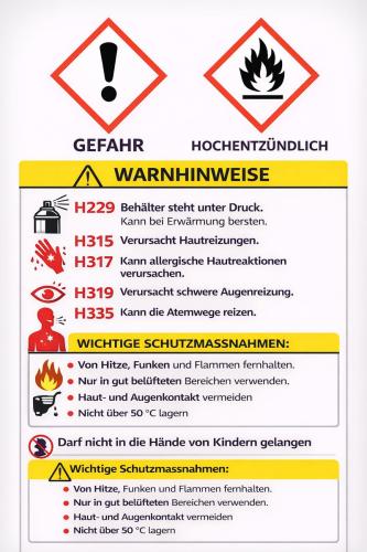 CAA RSG SECURITY STRAHL SET PAVA ESP 0.67 360°