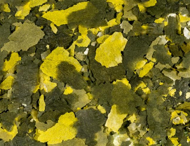 offenverkauf-herbalflocken-pro-kg-161519