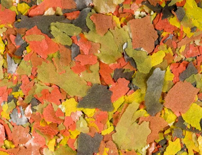 Offenverkauf Zierfischflocken Premium pro Kg