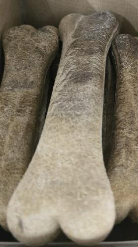 unverpackt-knochen-bone-kauknochen-17cm-stuck-96644