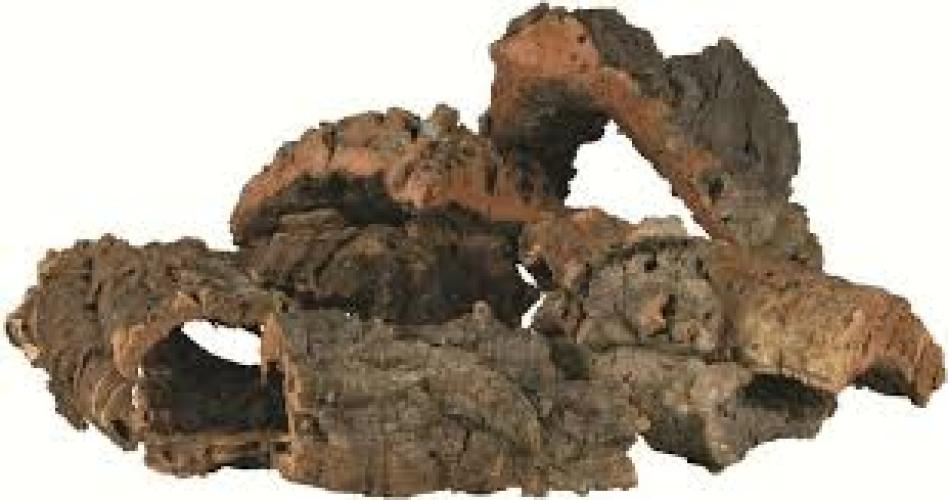 trixie-versteinerte-pinienrinde-mittel-15cm-ve1-62382