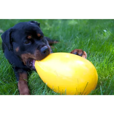 Jolly Egg Gelb L (30 cm)